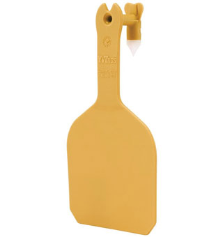 Y-TAGS™ FEEDLOT BLANK TAG ORANGE 50/PKG