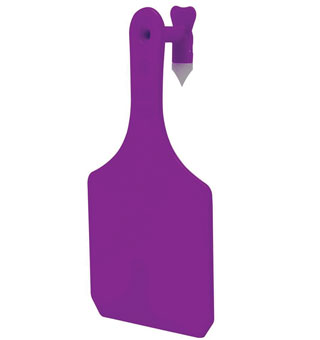 Y-TAGS™ 1-PIECE COW BLANK TAG 2-3/4 IN PURPLE 100/PKG
