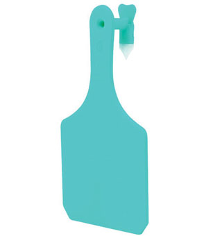 Y-TAGS™ 1-PIECE COW BLANK TAG 2-3/4 IN TURQUOISE 100/PKG