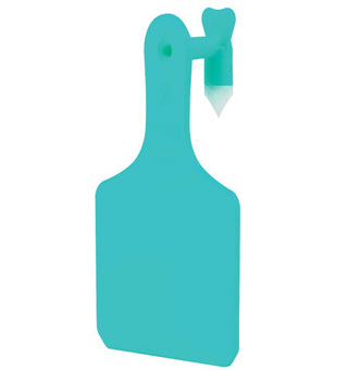 Y-TAGS™ 1-PIECE CALF BLANK TAG 1-1/2 IN TURQUOISE 100/PKG