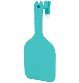 Y-TAGS™ FEEDLOT BLANK TAG TURQUOISE 50/PKG