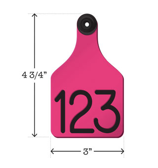 SET_1 UNIVERSAL DUAL COLORED BLANK TAG L PINK 25/PKG