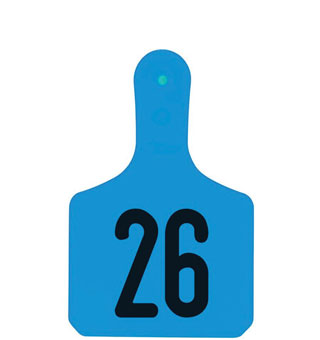 Y-TAGS™ 1-PIECE CALF EAR TAG LASER NUMBERED 26-50 BLUE 25/PKG