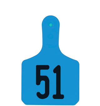 Y-TAGS™ 1-PIECE CALF EAR TAG LASER 1-1/2 IN NUMBERED 51-75 BLUE 25/PKG