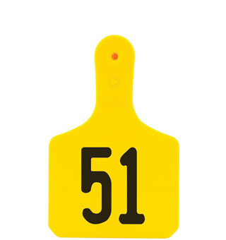 Y-TAGS™ 1-PIECE CALF EAR TAG LASER 1-1/2 IN NUMBERED 51-75 YELLOW 25/PKG