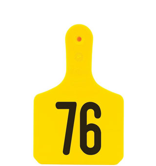 Y-TAGS™ 1-PIECE CALF EAR TAG LASER NUMBERED 76-100 YELLOW 25/PKG