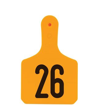 Y-TAGS™ 1-PIECE CALF EAR TAG LASER NUMBERED 26-50 ORANGE 25/PKG