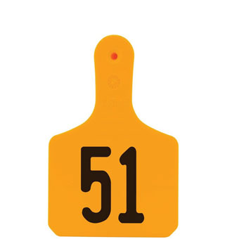 Y-TAGS™ 1-PIECE CALF EAR TAG LASER 1-1/2 IN NUMBERED 51-75 ORANGE 25/PKG