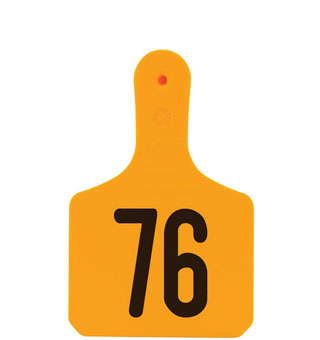 Y-TAGS™ 1-PIECE CALF EAR TAG LASER NUMBERED 76-100 ORANGE 25/PKG