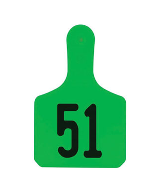 Y-TAGS™ 1-PIECE CALF EAR TAG LASER 1-1/2 IN NUMBERED 51-75 GREEN 25/PKG