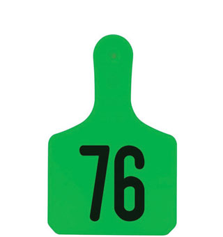Y-TAGS™ 1-PIECE CALF EAR TAG LASER NUMBERED 76-100 GREEN 25/PKG