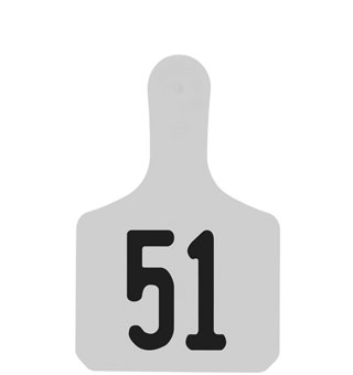 Y-TAGS™ 1-PIECE CALF EAR TAG LASER 1-1/2 IN NUMBERED 51-75 WHITE 25/PKG