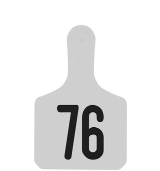 Y-TAGS™ 1-PIECE CALF EAR TAG LASER NUMBERED 76-100 WHITE 25/PKG