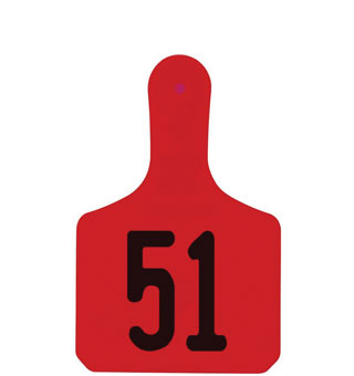 Y-TAGS™ 1-PIECE CALF EAR TAG LASER 1-1/2 IN NUMBERED 51-75 RED 25/PKG