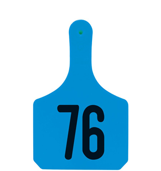 Y-TAGS™ 1-PIECE COW BLUE LASER NUMBERED 76-100 25/PKG