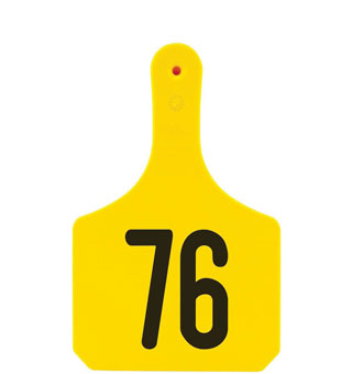 Y-TAGS™ 1-PIECE IDENTIFICATION EAR TAG LASER NUMBERED 76-100 YELLOW 25/PKG