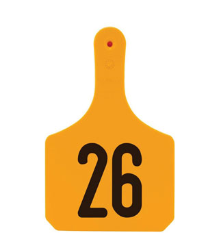 Y-TAGS™ 1-PIECE IDENTIFICATION EAR TAG COW 26-50 ORANGE 25/PKG