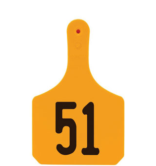 Y-TAGS™ 1-PIECE COW EAR TAG LASER NUMBERED 51-75 ORANGE 25/PKG