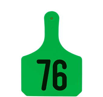 Y-TAGS™ 1-PIECE COW GREEN LASER NUMBERED 76-100 25/PKG