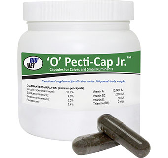 O' PECTI-CAP JR.™ CAPSULES FOR CALVES 50 CAPSULES/PKG