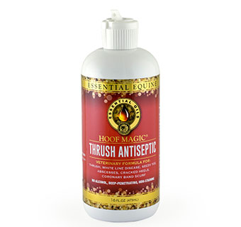 ESSENTIAL EQUINE HOOF MAGIC® THRUSH ANTI-SEPTIC 16 OZ