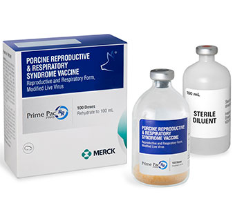 PRIME PAC™ PRRS RR 100 DOSE