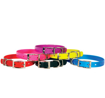 810 WATERPROOF DOG COLLAR NEON PLASTIC 12 IN X 3/4 IN BLUE