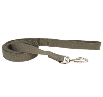 NEW EARTH® 14906 DOG LEASH SOY FIBER 1 IN X 6 FT FOREST GREEN