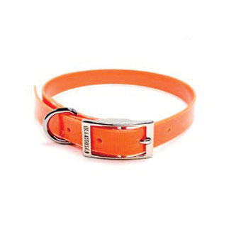970 HUNTING DOG COLLAR PLASTIC HOT ORANGE 1 IN X 18 IN