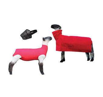 SHOW PRO SSCM-MB 3-IN-1 LAMB BUNDLE WITH NYLON BLANKET MED RED