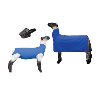 SHOW PRO SSCM-MB 3-IN-1 LAMB BUNDLE WITH NYLON BLANKET MED BLUE