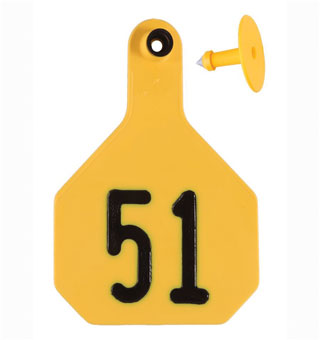 ALL-AMERICAN® 2-PIECE 4-STAR COMBO TAG LASER L 51-75 YELLOW 25/PKG