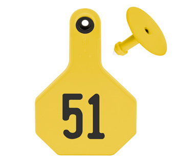 ALL-AMERICAN® MEDIUM 2-PIECE 3-STAR EAR TAG LASER 51-75 YELLOW 25/PKG