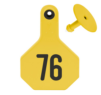 ALL-AMERICAN® MEDIUM 2-PIECE 3-STAR EAR TAG LASER 76-100 YELLOW 25/PKG