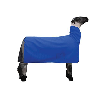 SHOW PRO SSCM-MB LAMB BLANKET COOL MESH L BLUE