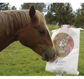 WILDBERRY HORSE TREAT HAY CRANBERRIES BERRY 10 LB