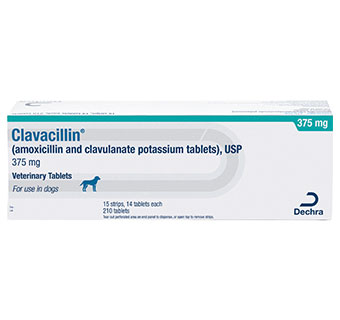 CLAVACILLIN® USP VETERINARY TABLETS 375 MG 210/BOX (RX)
