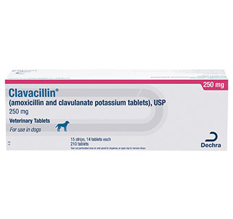 CLAVACILLIN® USP VETERINARY TABLETS 250 MG 210/BOX (RX)