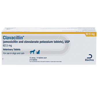 CLAVACILLIN® USP VETERINARY TABLETS 62.5 MG 210/BOX (RX)