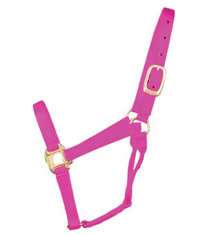 HAMILTON® 1Q NYL QUALITY EQ-HALTER WITH BRS HARDWARE AVG 1 IN HOT PINK