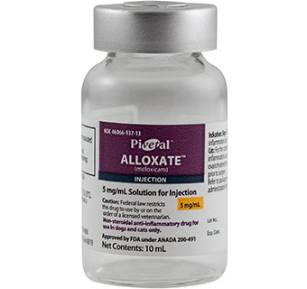 PIVETAL® ALLOXATE™ (MELOXICAM) SOLUTION FOR INJECTION 5 MG/ML 10 ML (RX)