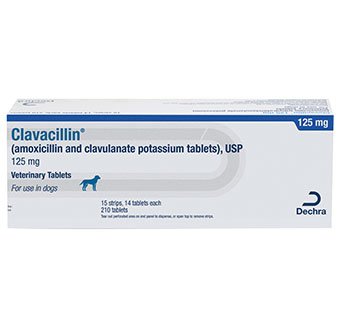 CLAVACILLIN® USP VETERINARY TABLETS 125 MG 210/BOX (RX)