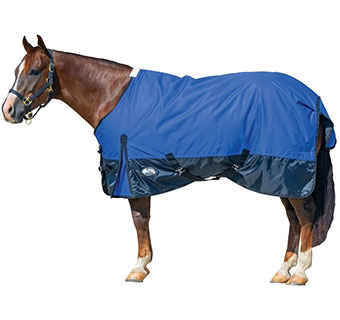 WEAVER ECONOMY TURNOUT BLANKET 600D DAZZLING BLUE 81 IN 1/PKG