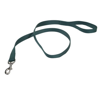 00906 SINGLE-PLY TRAINING DOG LEASH NYLON 1 IN X 6 FT HUNTER GREEN