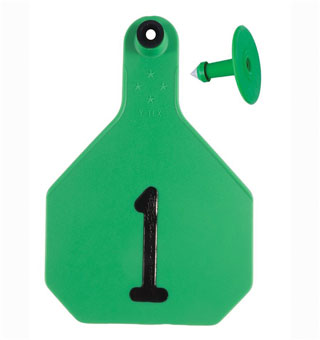 ALL-AMERICAN® 2-PIECE 4-STAR COMBO TAG LASER L 1-25 GREEN 25/PKG
