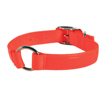 945 REFLEXITE HUNTING DOG COLLAR WITH CENTER RING NYLON HOT ORG 1 IN X 16 IN