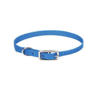 00301 SINGLE-PLY DOG COLLAR NYLON 10 IN X 3/8 IN BLUE LAGOON