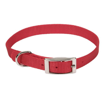 00401 SINGLE-PLY DOG COLLAR NYLON 14 IN X 5/8 IN RED