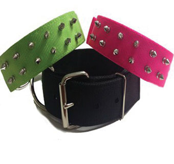 760 S BIG DOGG COLLAR WITH SLIVER SPIKE NYLON 16 IN X 1-3/4 IN BLACK