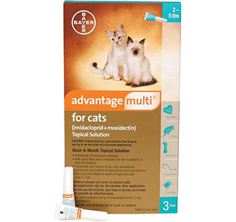ADVANTAGE MULTI® FOR CATS 2-5 LB TURQUOISE BOX 3/PKG (RX)